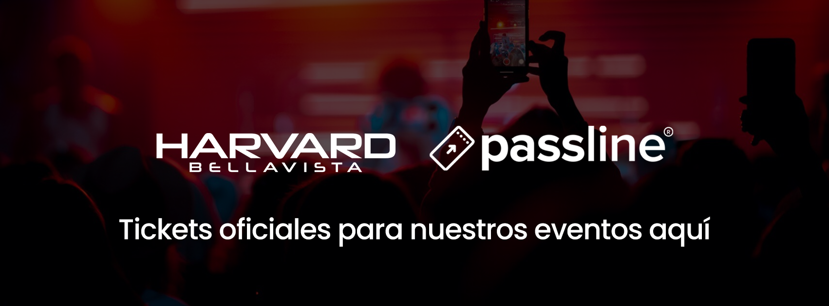 Texto Alternativo