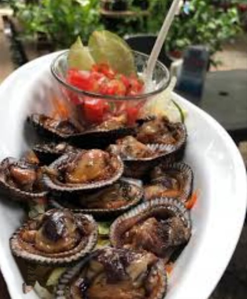 Docena de conchas abiertas