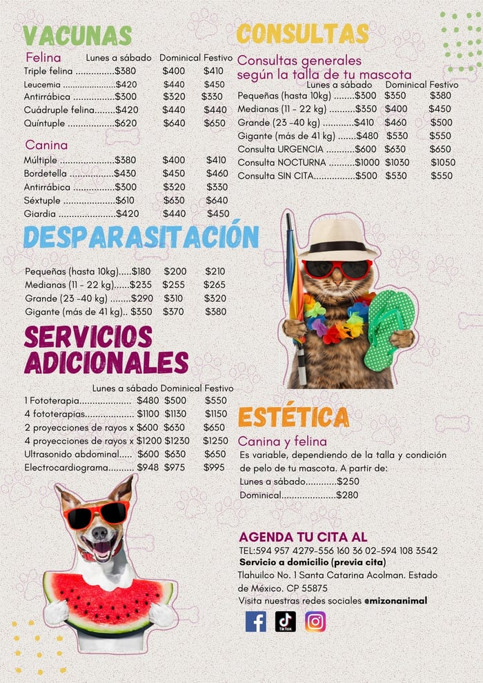 Producto