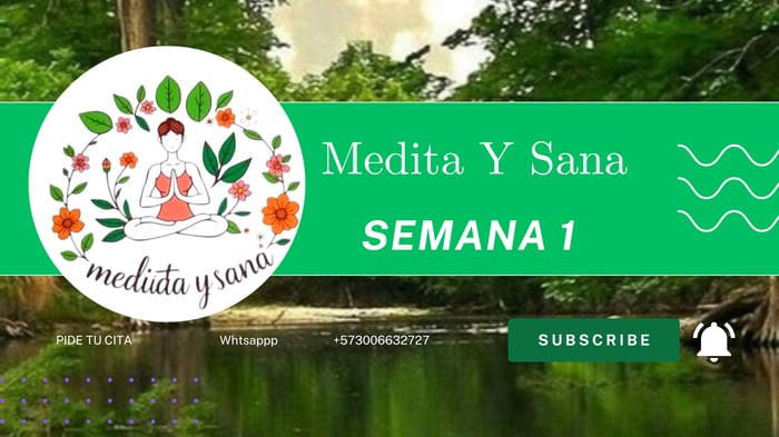 Taller De sanacion Medita Y Sana 