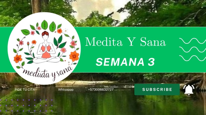 Taller De sanacion Medita Y Sana 