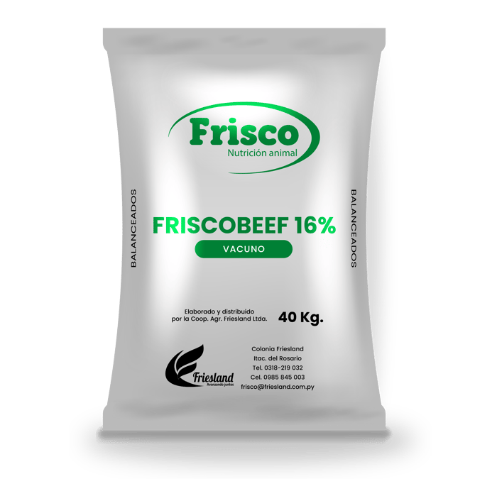 Friscobeef 16%