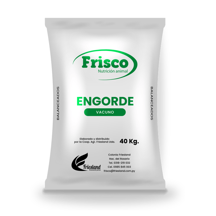 Engorde Vacuno