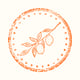 Costa Amalfitana icon