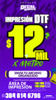 IMPRESION DTF icon